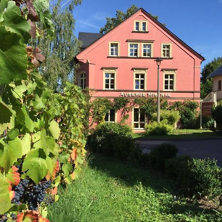 Wein-Hotel Auberge Mistral Freiberg Exterior photo